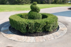 21552114_10155945960984267_4758118866110662020_o