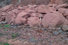 11037081_10153774689584267_2893104786966957662_n