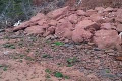 12308346_10153774688794267_7696154510711537533_n