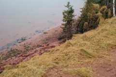 12313822_10153774687654267_3916708081681142546_n