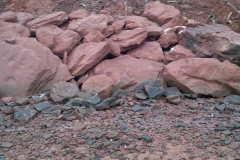 12342817_10153774690149267_8188434763939397884_n