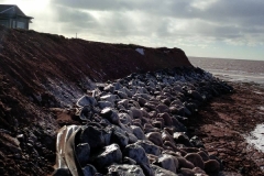 1459228_10152075165599267_738553846_n