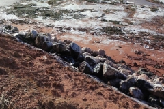 1499679_10152075138904267_650158456_n