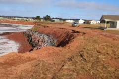 1499679_10152075138909267_1296267585_n