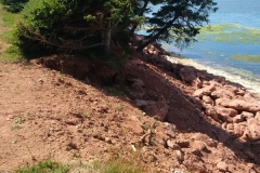 50100579_10157310049129267_7217399250496258048_n