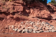 50837218_10157310049524267_7661710305847672832_n