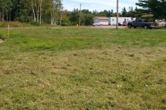 13900117_10154531877434267_9056631119909736950_n