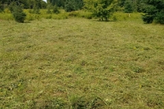 13938339_10154531881294267_6041354165266162059_n