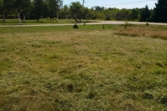 14040178_10154531872464267_2974615736851596719_n