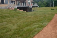 50293448_10157309992324267_6738179027380469760_n