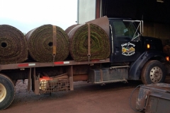 50820911_10157309993904267_4932946862043824128_n