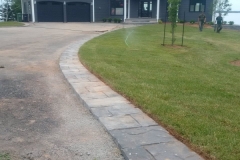 50875292_10157309993139267_1465419786010755072_n